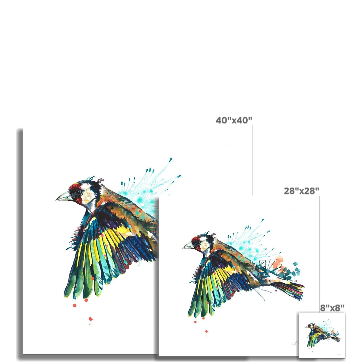 Goldie the Goldfinch Fine Art Print Sarah Taylor Art