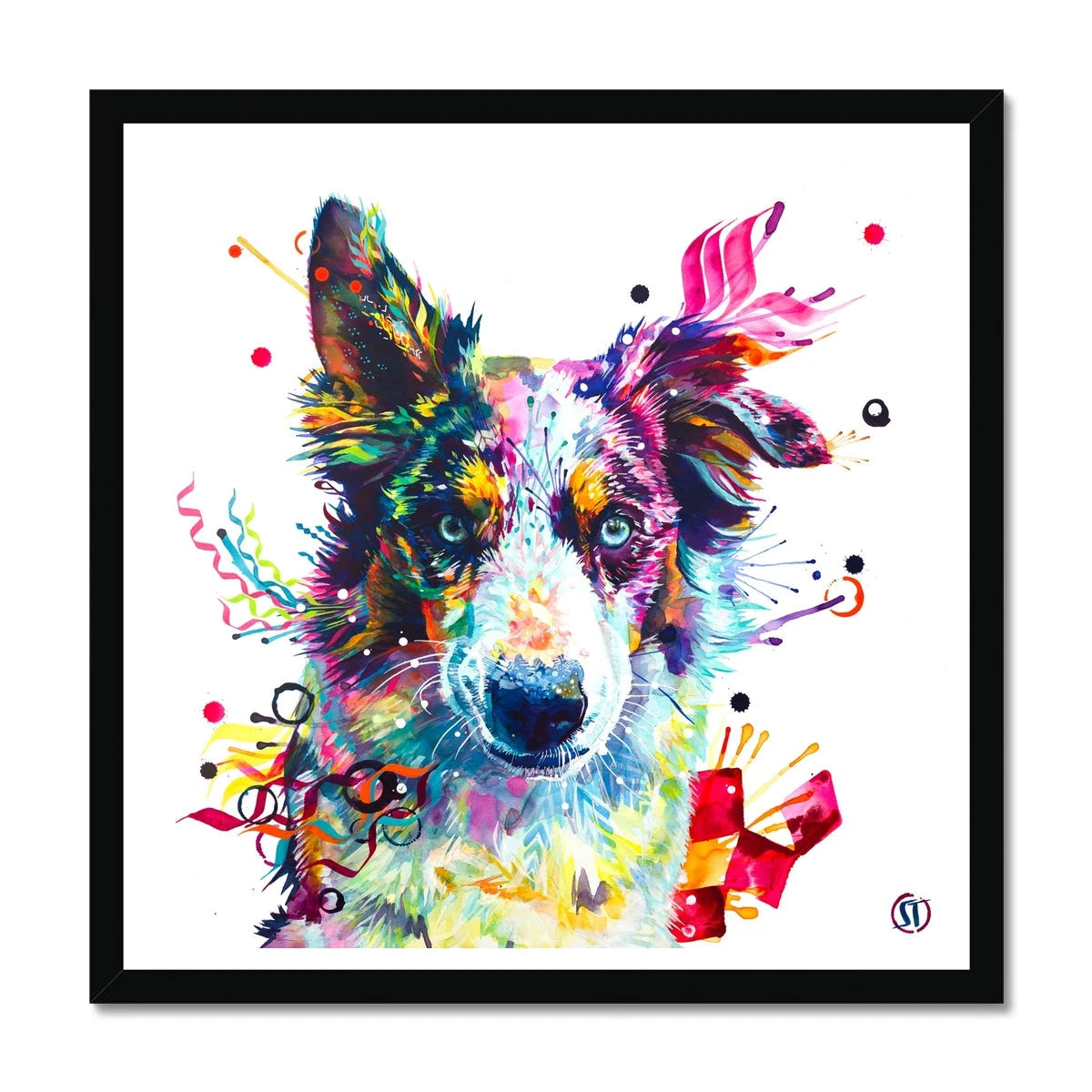 Loki the Border Collie Framed Print Sarah Taylor Art