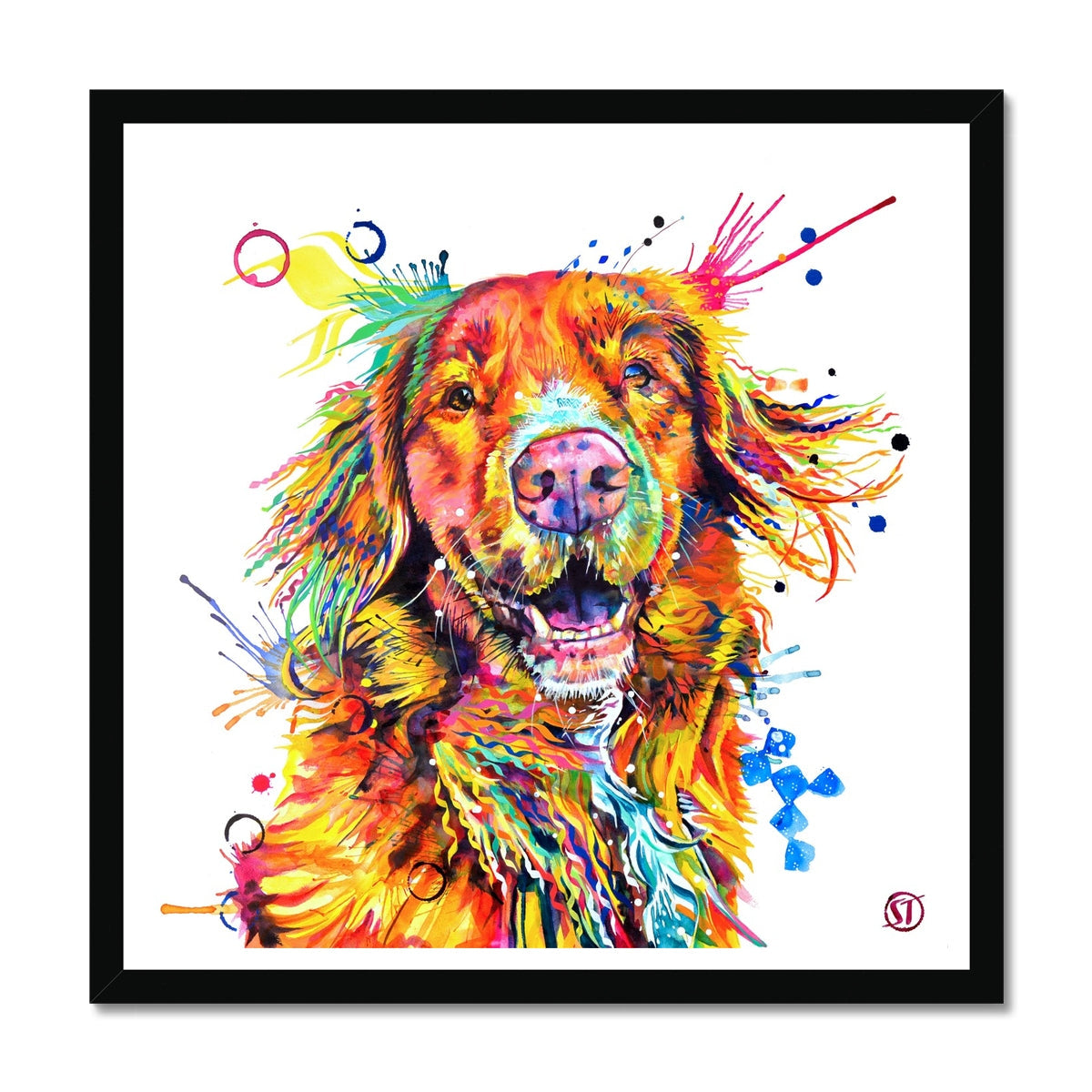 Effy the Duck Toller Framed Print Sarah Taylor Art