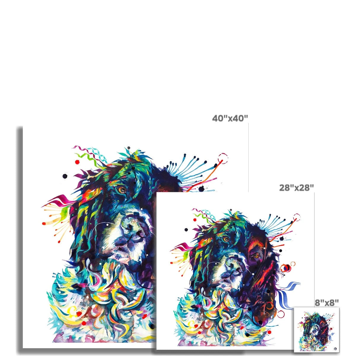 Thorin the Springer Spaniel Fine Art Print Sarah Taylor Art