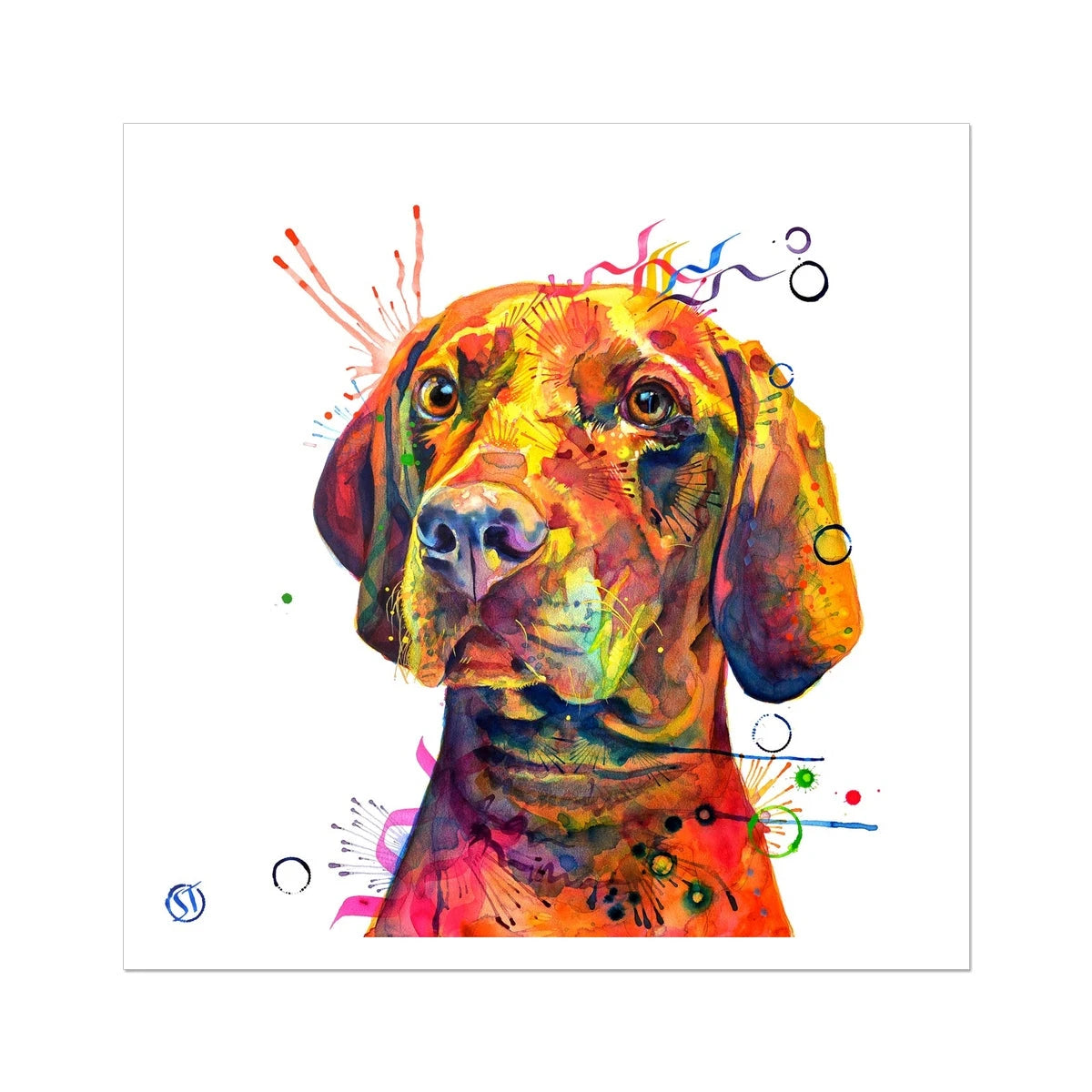 Shilo the Vizsla Fine Art Print Sarah Taylor Art