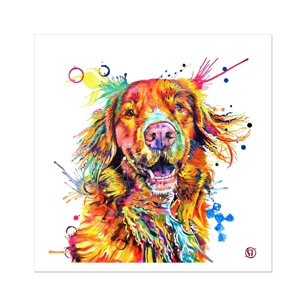 Effy the Duck Toller Fine Art Print Sarah Taylor Art