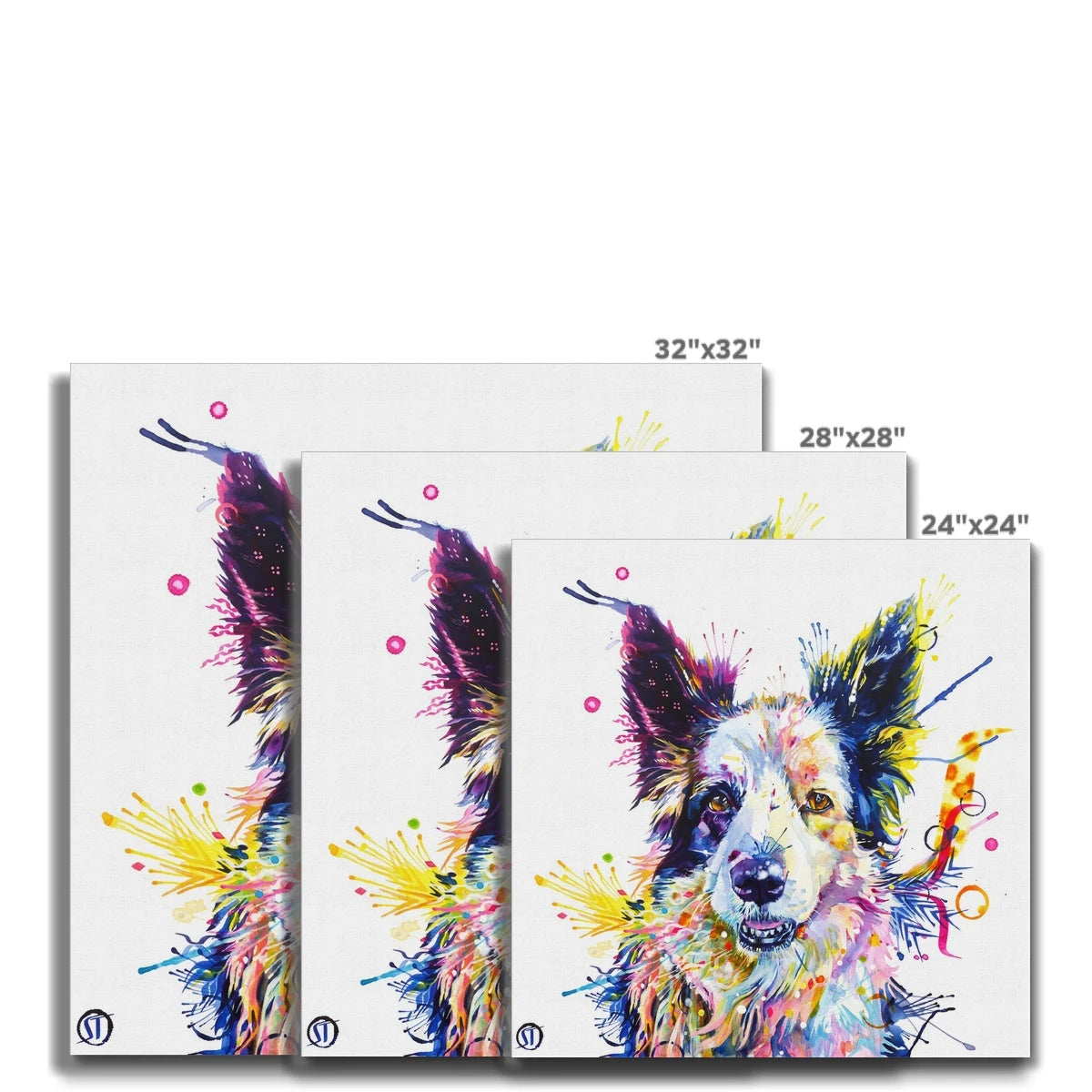 Colourful Border Collie canvas, Poppy, with blue, violet, pink and yellow paint splashes by Sarah Taylor Art