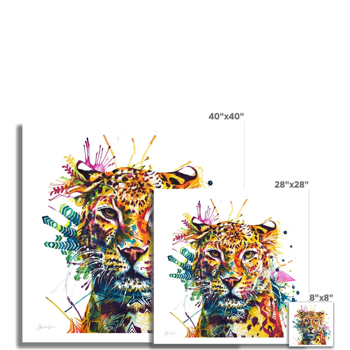 Simone the Leopard Fine Art Print Sarah Taylor Art