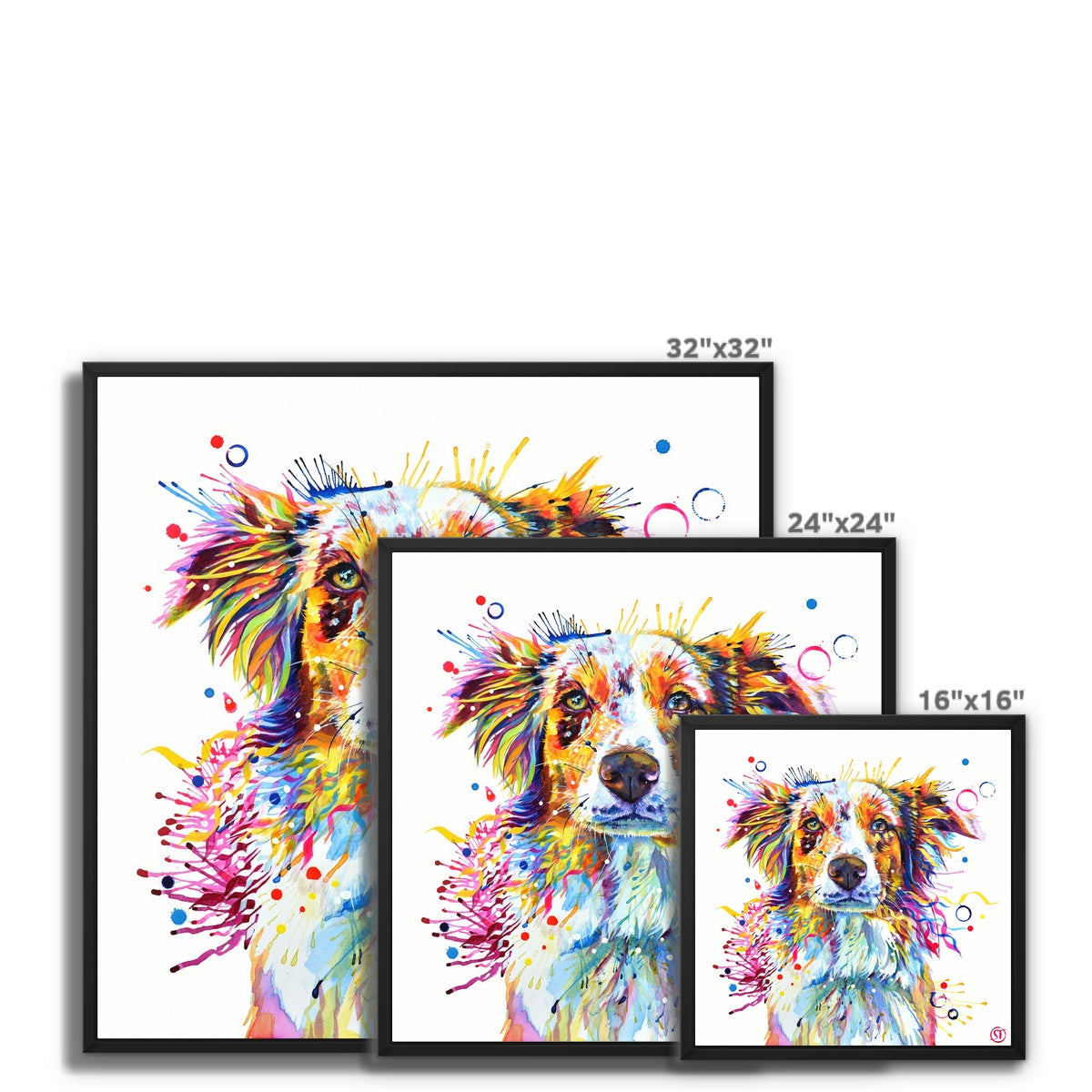 Mabel the Collie Framed Canvas Sarah Taylor Art