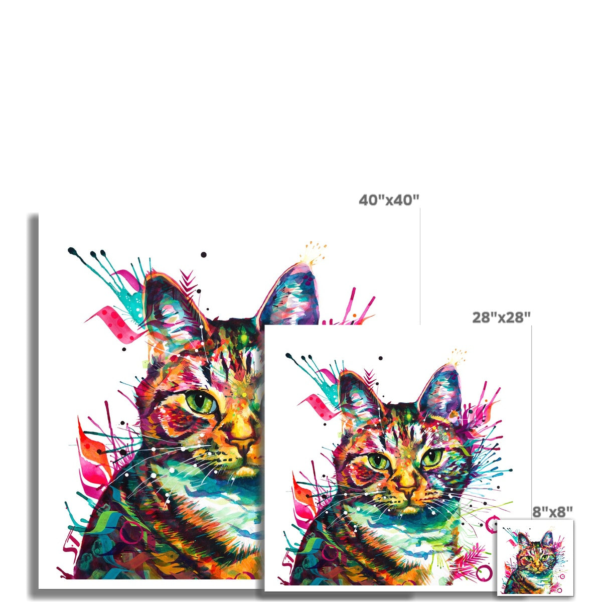 Lady Marmalade Cat Fine Art Print Sarah Taylor Art