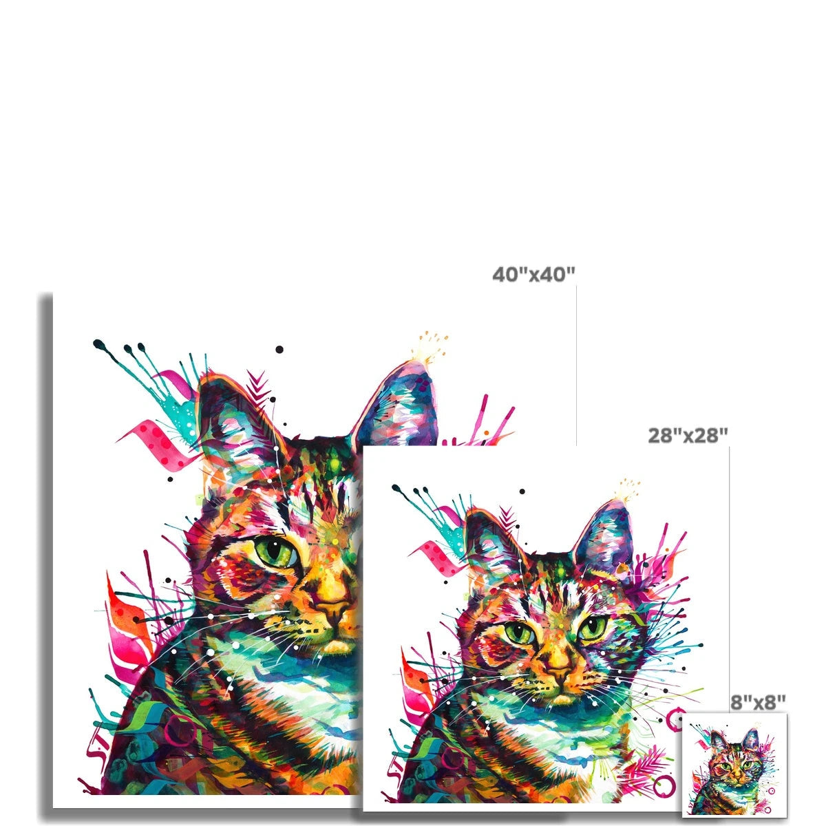 Lady Marmalade Cat Fine Art Print Sarah Taylor Art