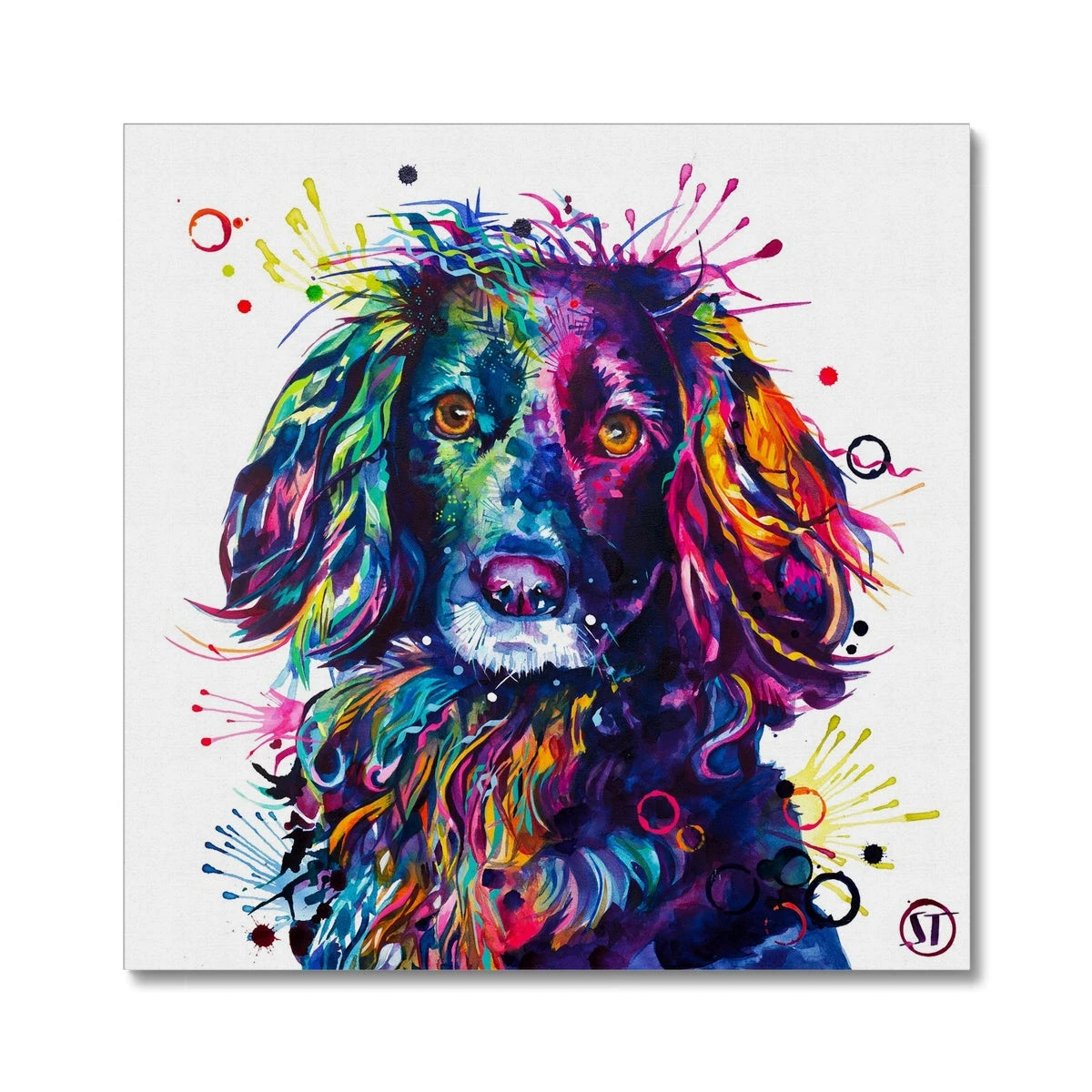 Loki the Cocker Spaniel Canvas Sarah Taylor Art