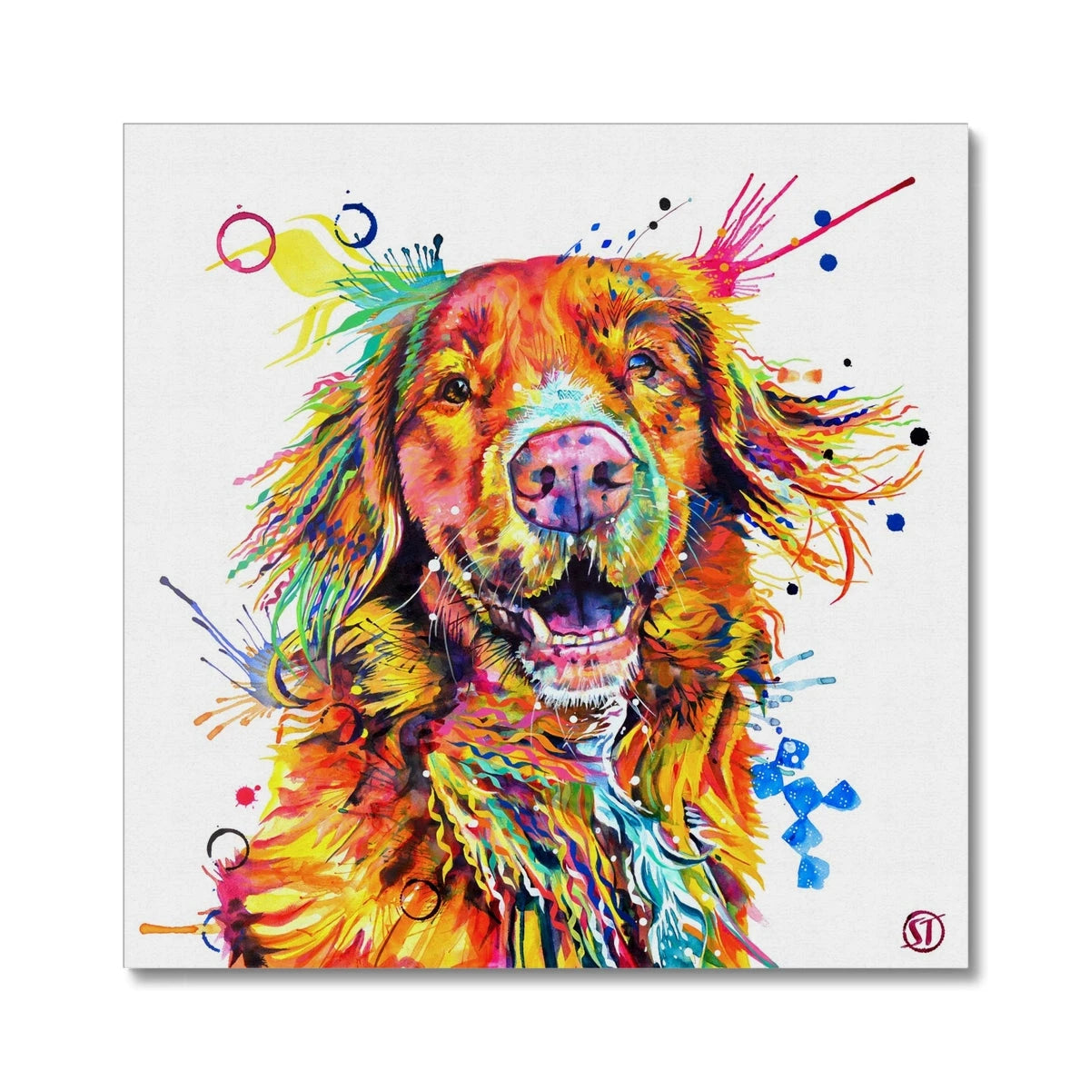 Effy the Duck Toller Canvas Sarah Taylor Art
