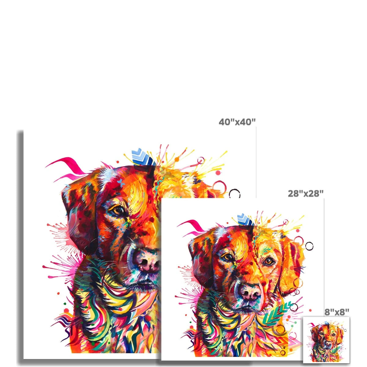 Brodie the Labrador Fine Art Print Sarah Taylor Art