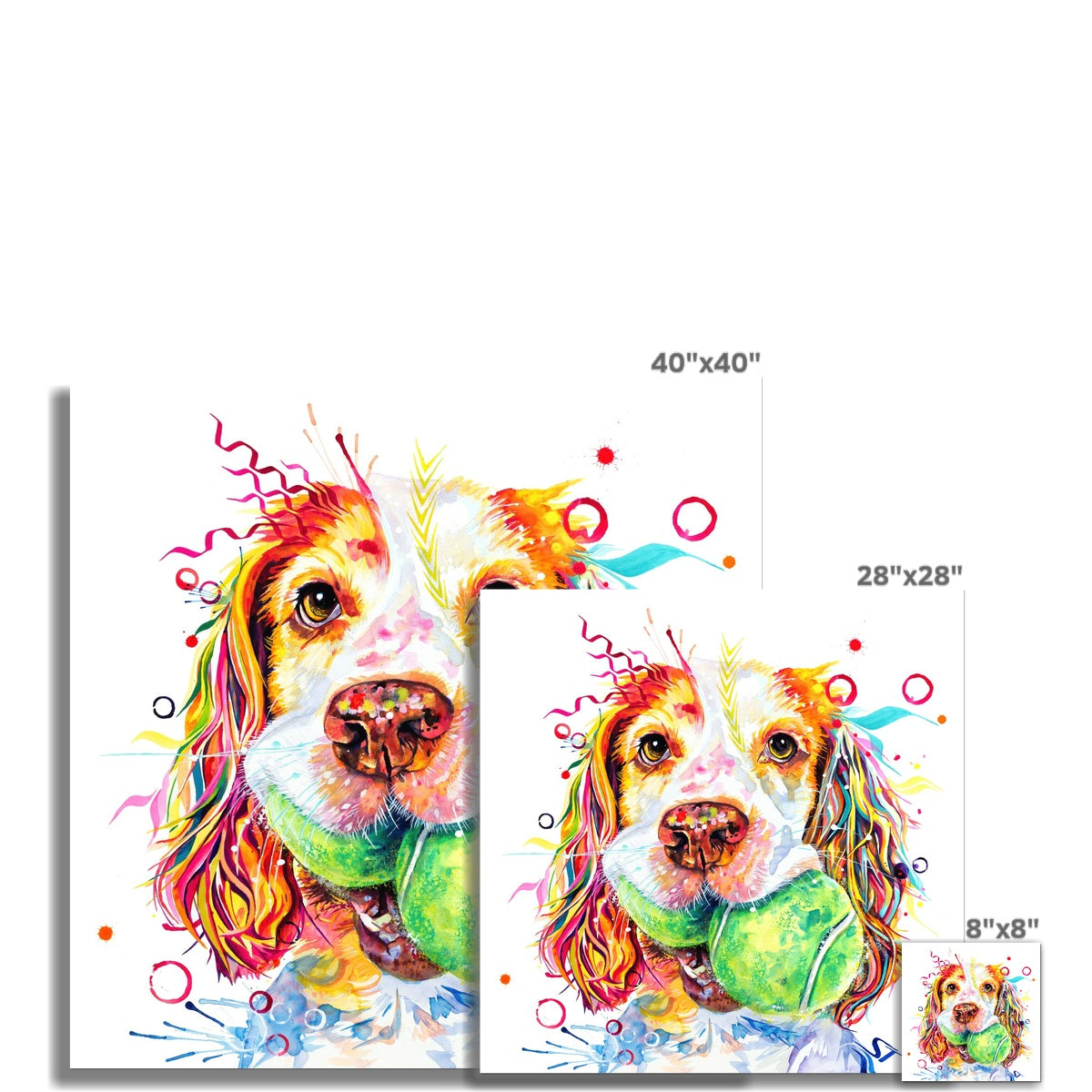The Ball Girl! Sprocker Spaniel Fine Art Print Sarah Taylor Art