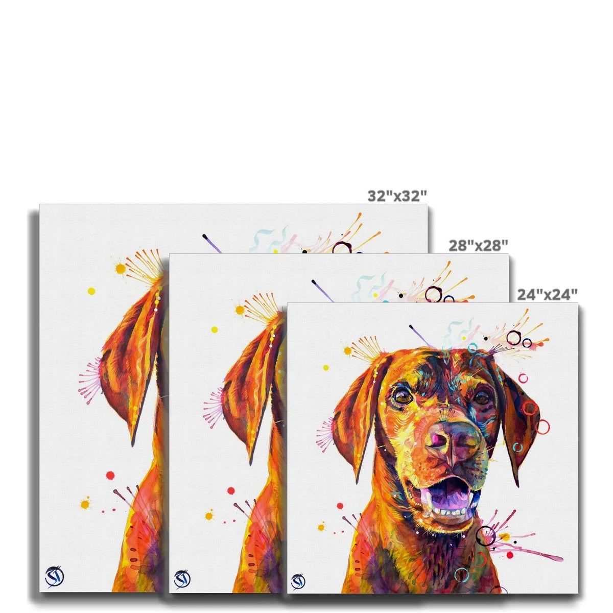 Freo the Vizsla Canvas Sarah Taylor Art
