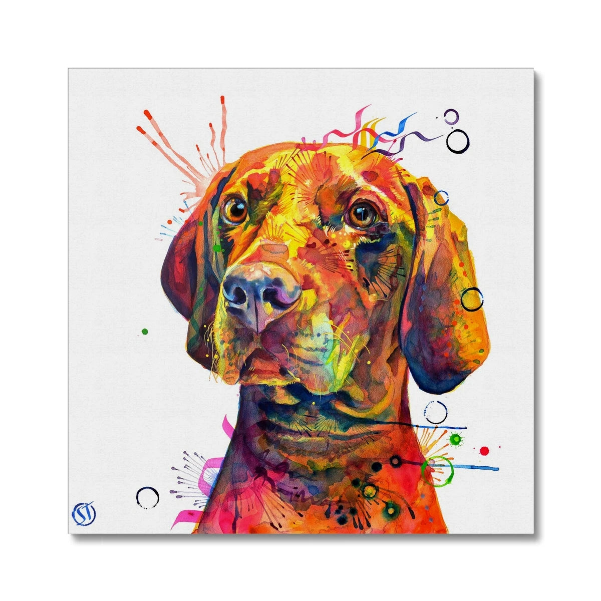 Shilo the Vizsla Canvas Sarah Taylor Art