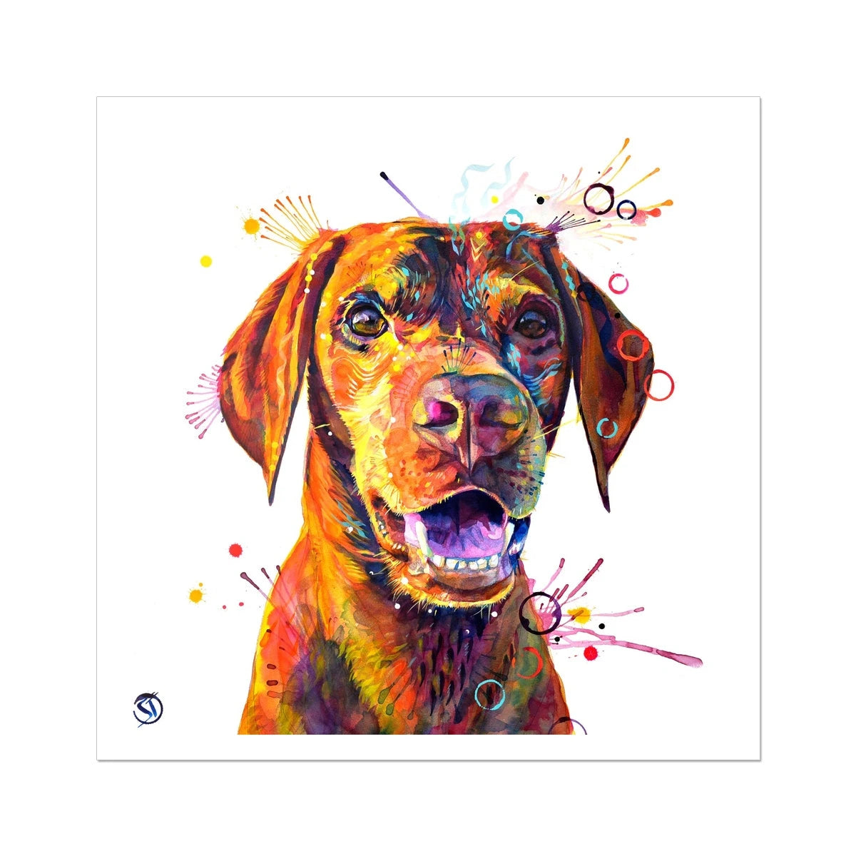 Freo the Vizsla Fine Art Print Sarah Taylor Art