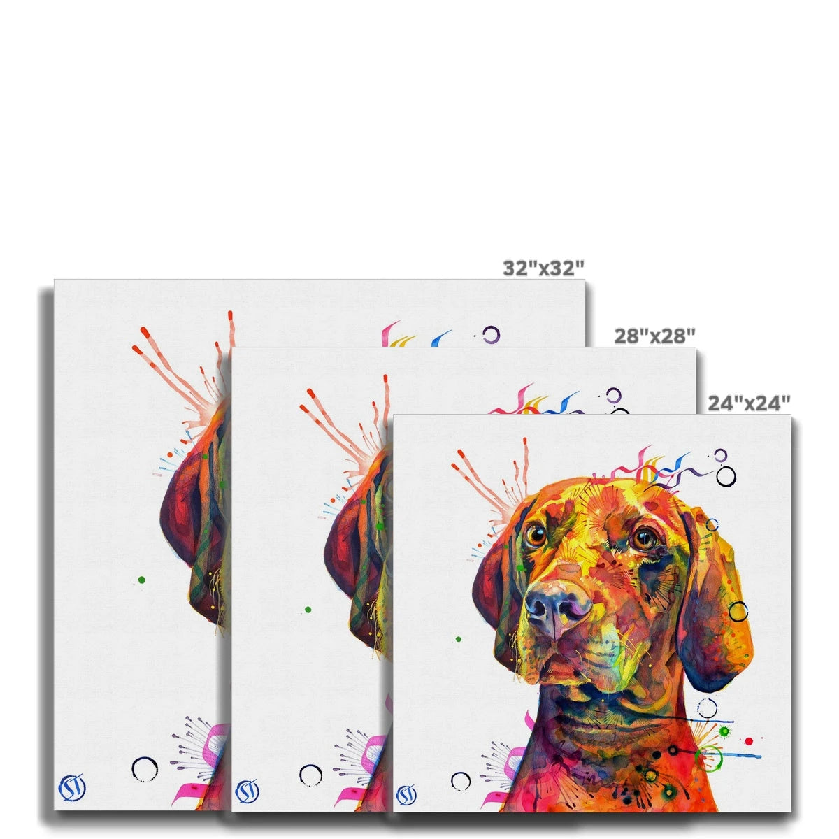 Shilo the Vizsla Canvas Sarah Taylor Art