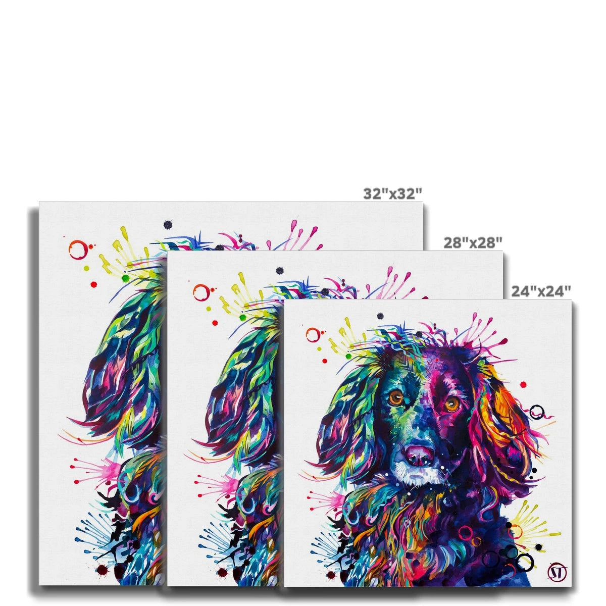 Loki the Cocker Spaniel Canvas Sarah Taylor Art