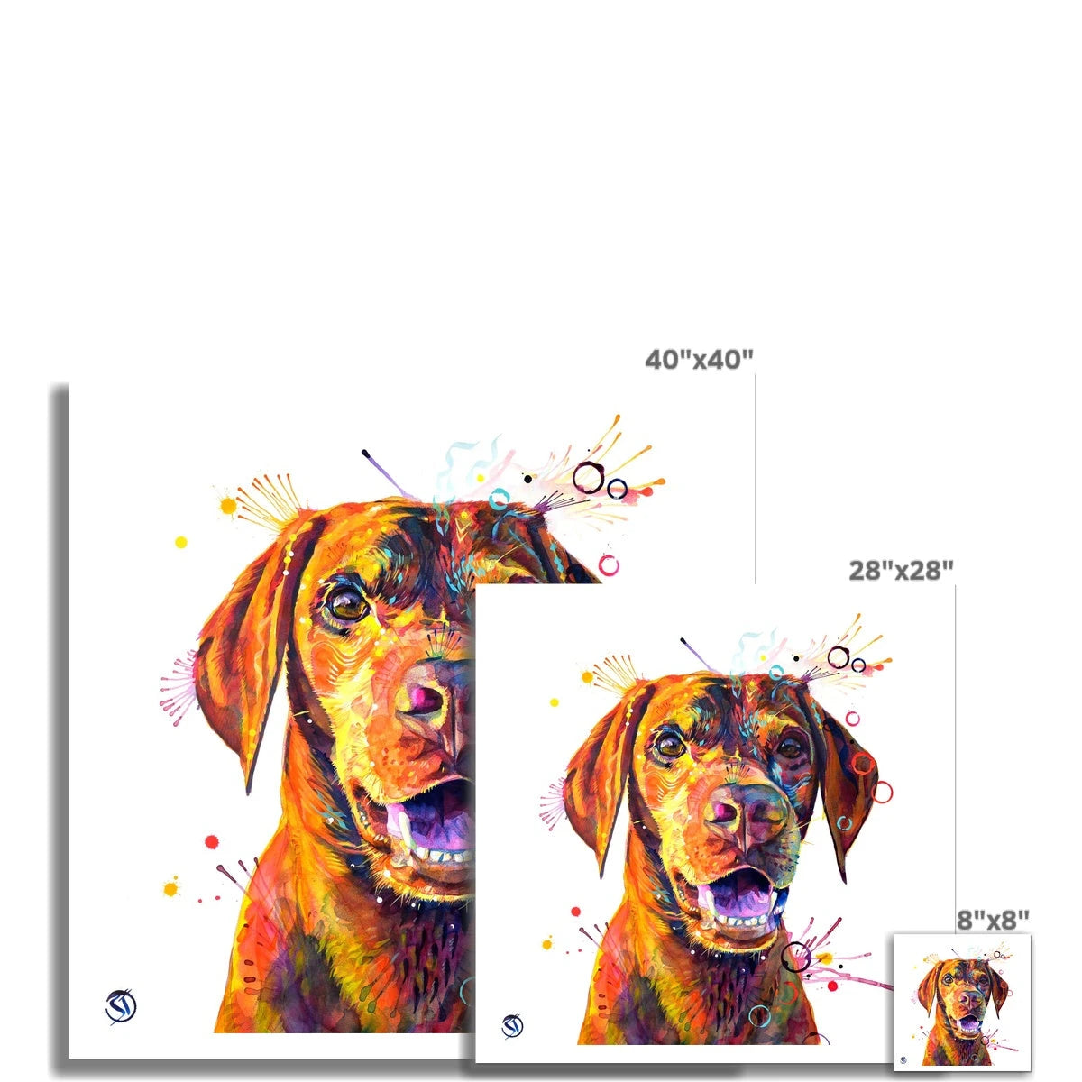 Freo the Vizsla Fine Art Print Sarah Taylor Art