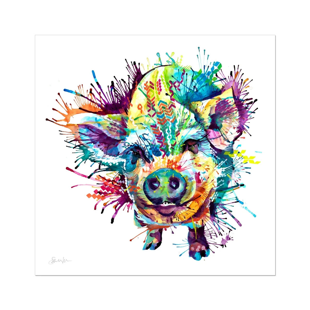 Gloria the Kune Kune Pig Fine Art Print Sarah Taylor Art
