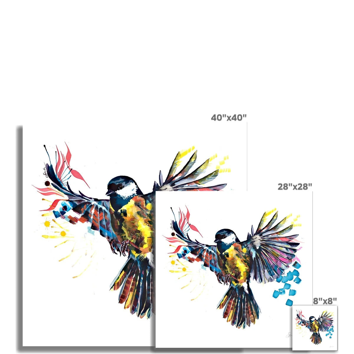 Grace the Flying Bird Fine Art Print Sarah Taylor Art