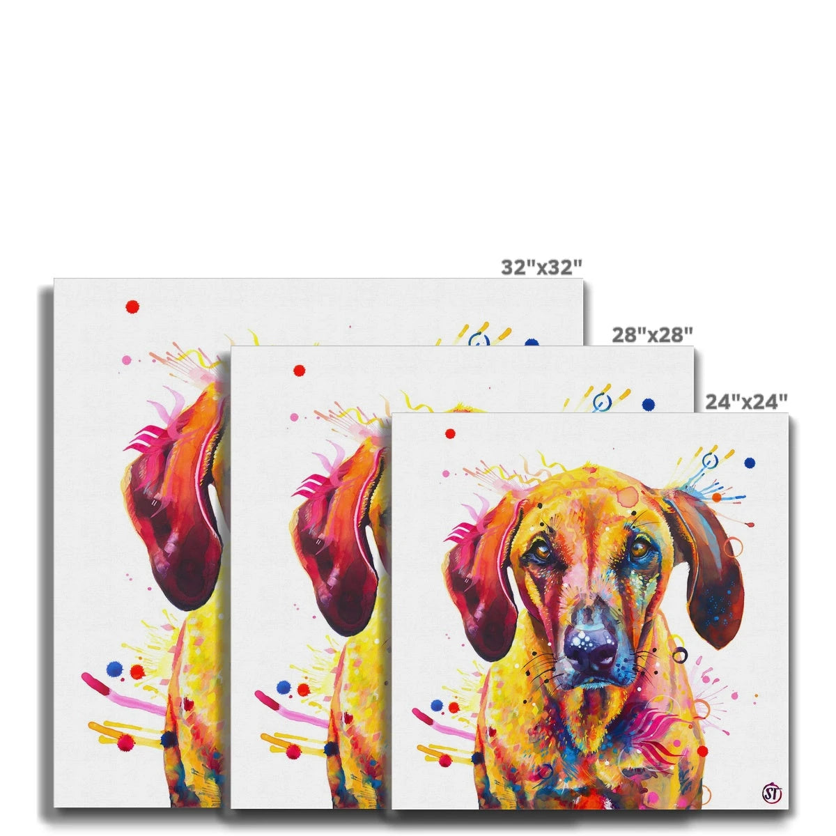 Colourful Rhodesian Ridgeback canvas, Zula, with golden fur, amber eyes and bold splashes of paint by Sarah Taylor Art