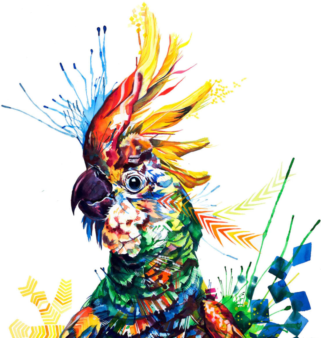 Wall Art | Framed Prints | Framed Wall Art | Modern Art | Pet Portraits | Sarah Taylor