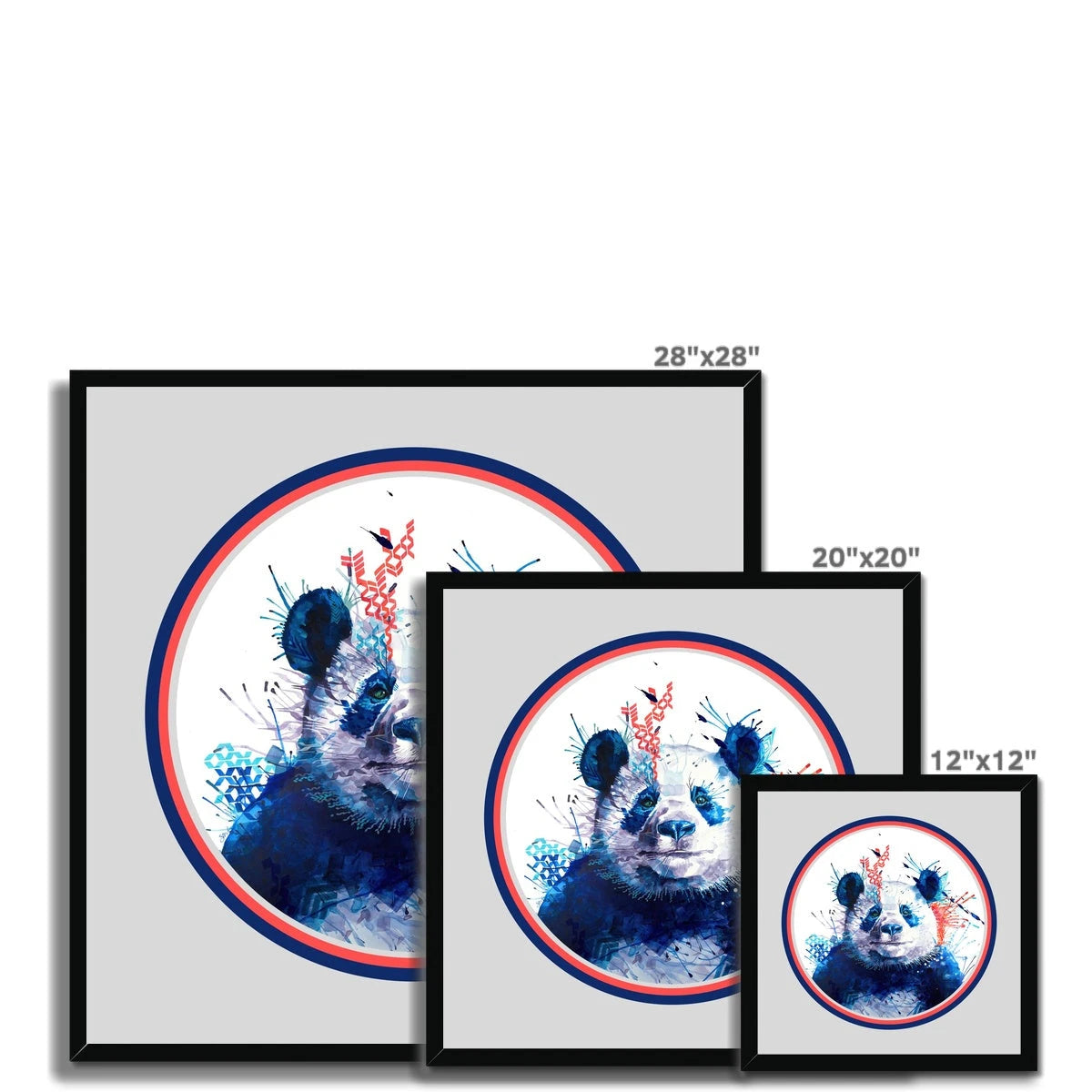 Wildlife Art | Wall Art | Framed Prints | Sarah Taylor | Modern Art | Framed Wall Art | Abstract Art | Bright Wall Art