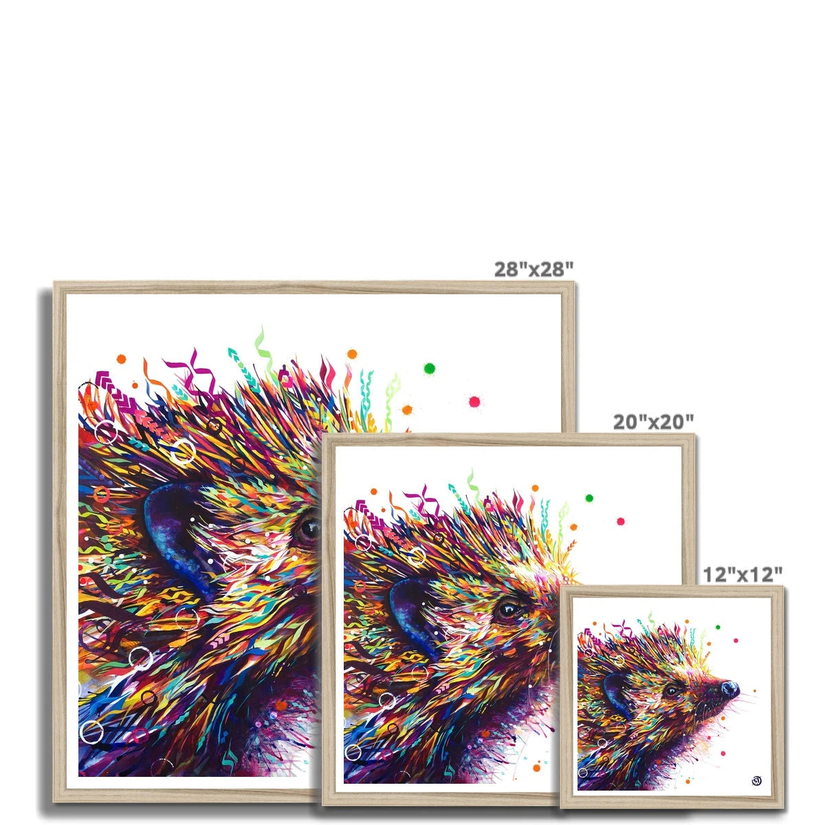 Hedgehog | Wallart | Sarah Taylor | Animal Picture | Animal Artwork | Abstract Wall Art