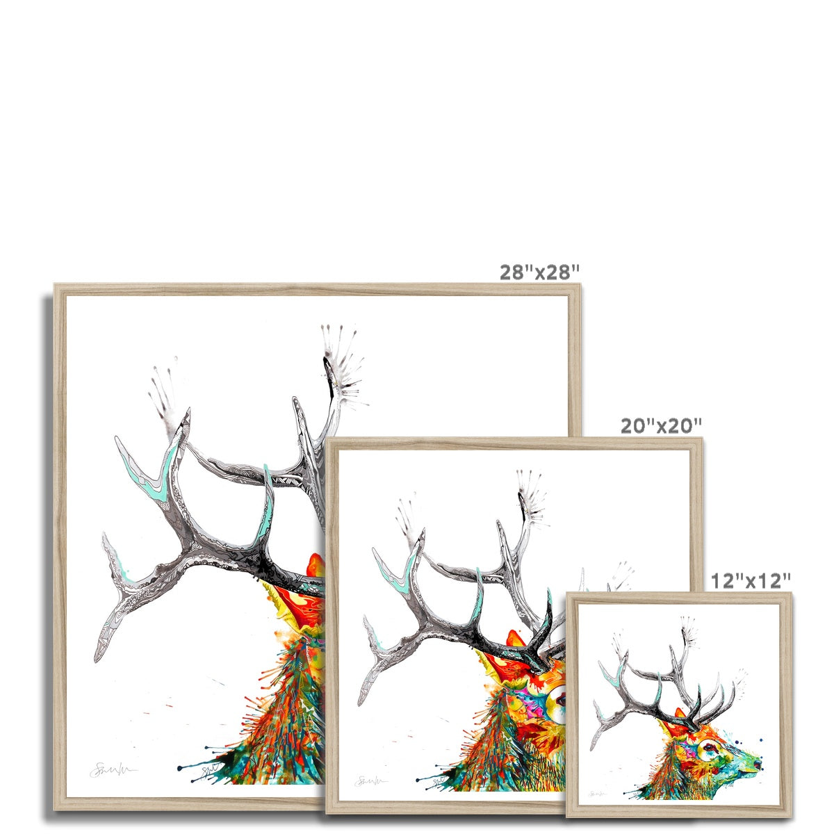 Wall Art | Wildlife Art | Sarah Taylor | Animal Art | Framed Art | Wall Prints | Wall Art On Canvas