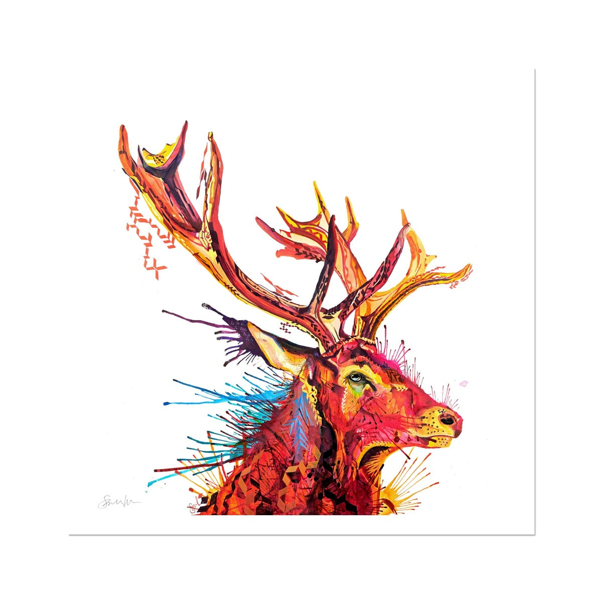 Wall Art | Framed Prints | Sarah Taylor | Modern Art | Framed Wall Art | Colourful Animal Art