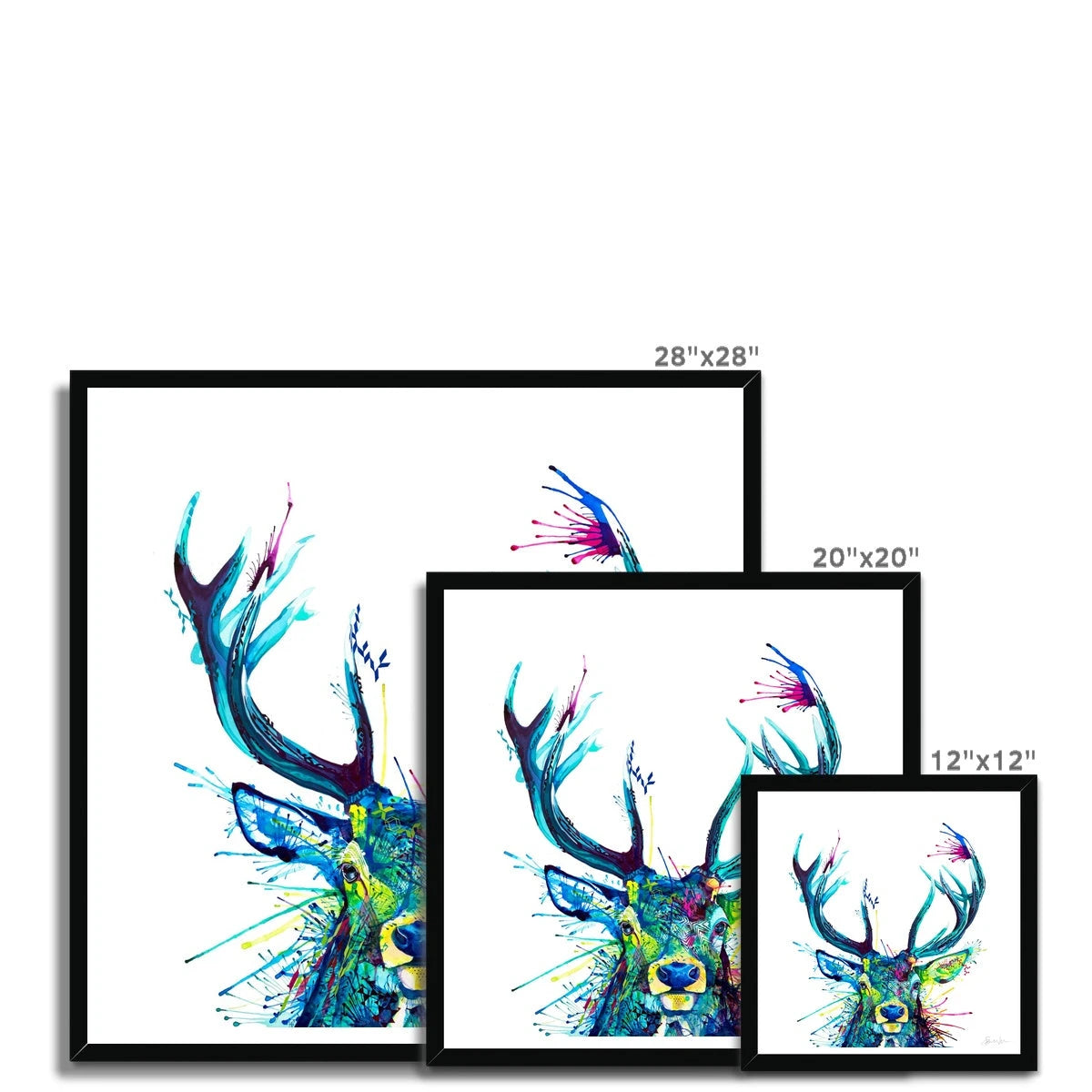 Framed Art | Wildlife Art | Sarah Taylor | Wall Art | Framed Prints | Abstract Art | Colourful Animal Art