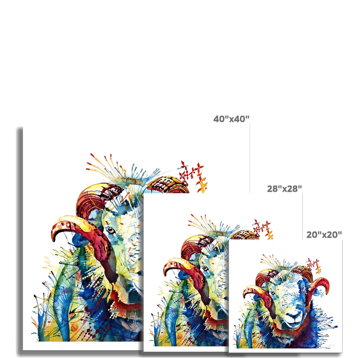 Wall Art | Framed Prints | Sarah Taylor | Modern Art | Framed Wall Art | Pet Portraits | Abstract Art | Framed Art | Bright Wall Art | Colourful Animal Art