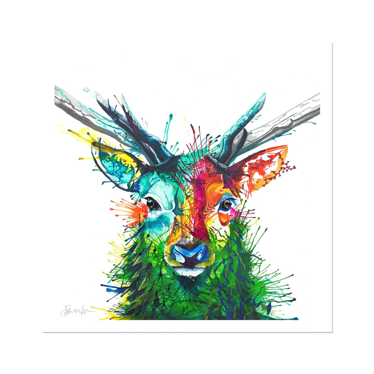 Framed Art | Wildlife Art | Sarah Taylor | Wall Art | Framed Prints | Abstract Art | Colourful Animal Art