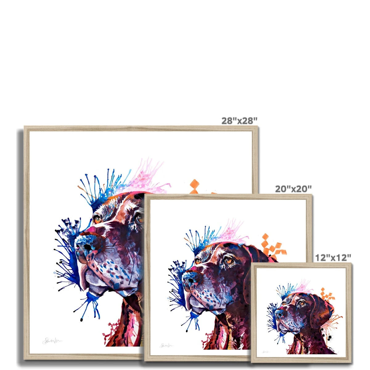 German Short-haired Pointer Framed Print-Fine art-Sarah Taylor Art