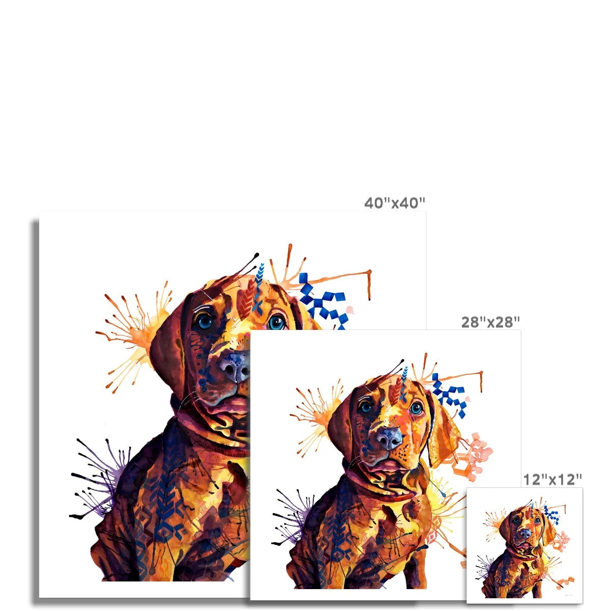 Dog Drawings | Dog Portrait | Sarah Taylor | Pet Portrait Artists | Pet Portraits | Art Commissions | Framed Prints | Wall Prints | Living Room Wall Art