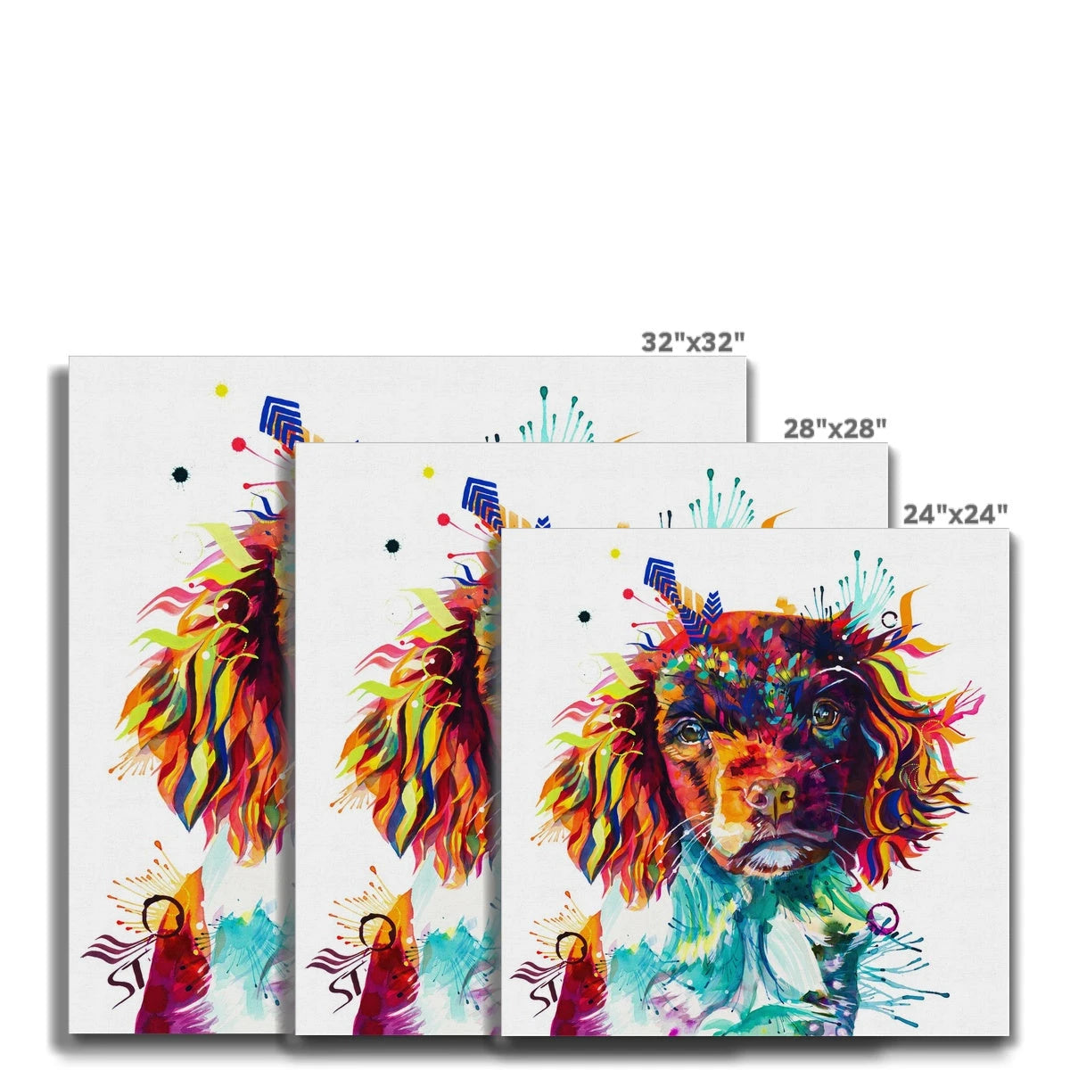 Cally the Springer Spaniel Canvas Sarah Taylor Art