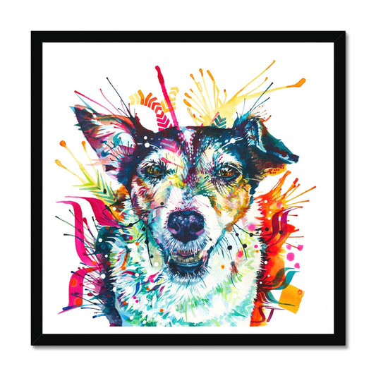 Pippin the Jack Russell Framed Print