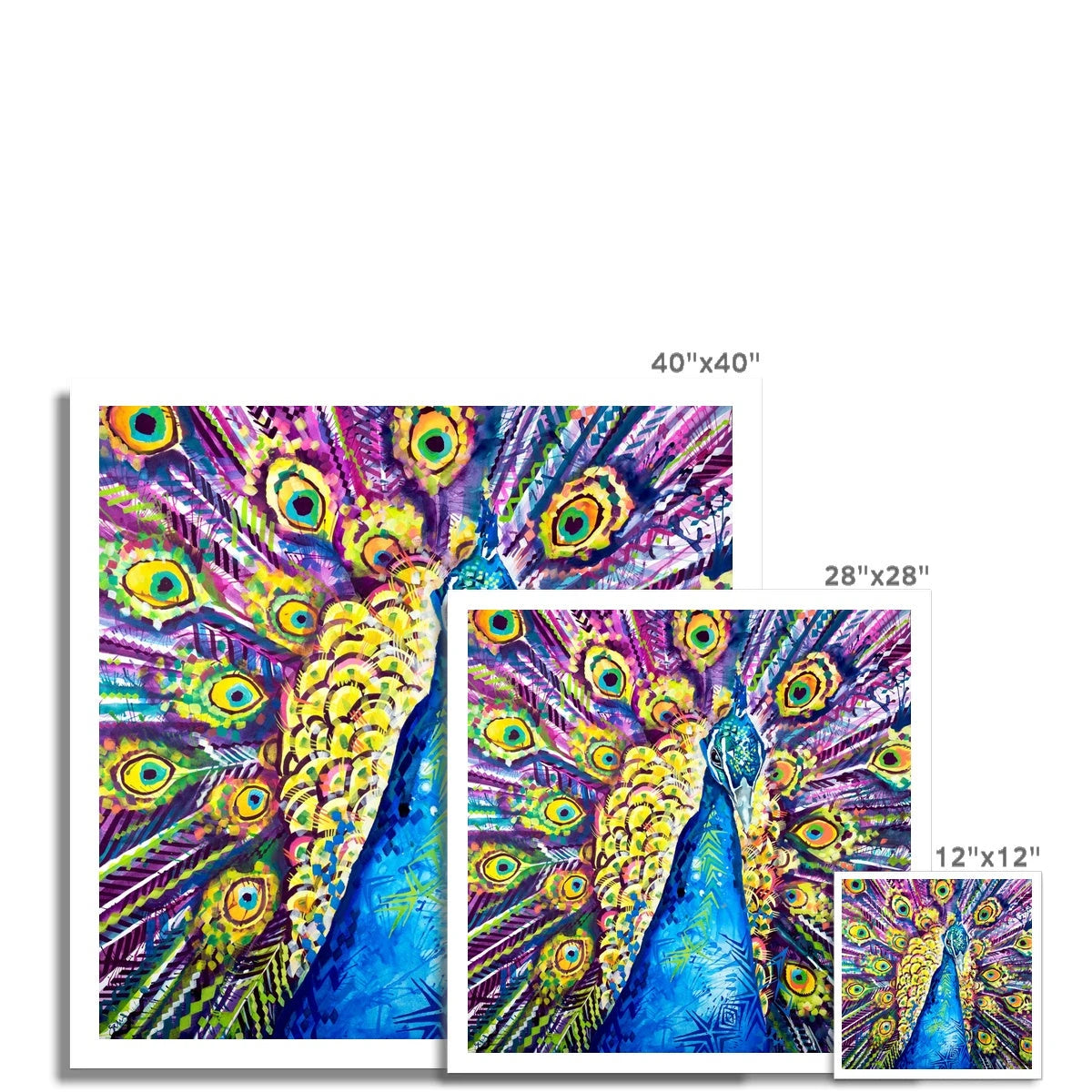 Wall Art | Modern Art |Sarah Taylor | Animal Art | Framed Art | Wall Prints | Living Room Wall Art