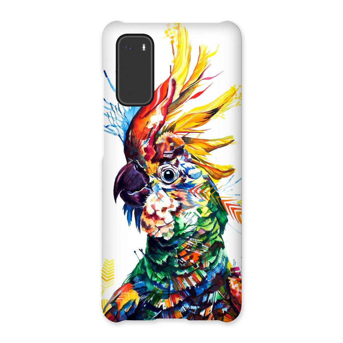 Wildlife Art | Colourful Animal Art | Sarah Taylor | Funny Animal Pictures | Animal Art