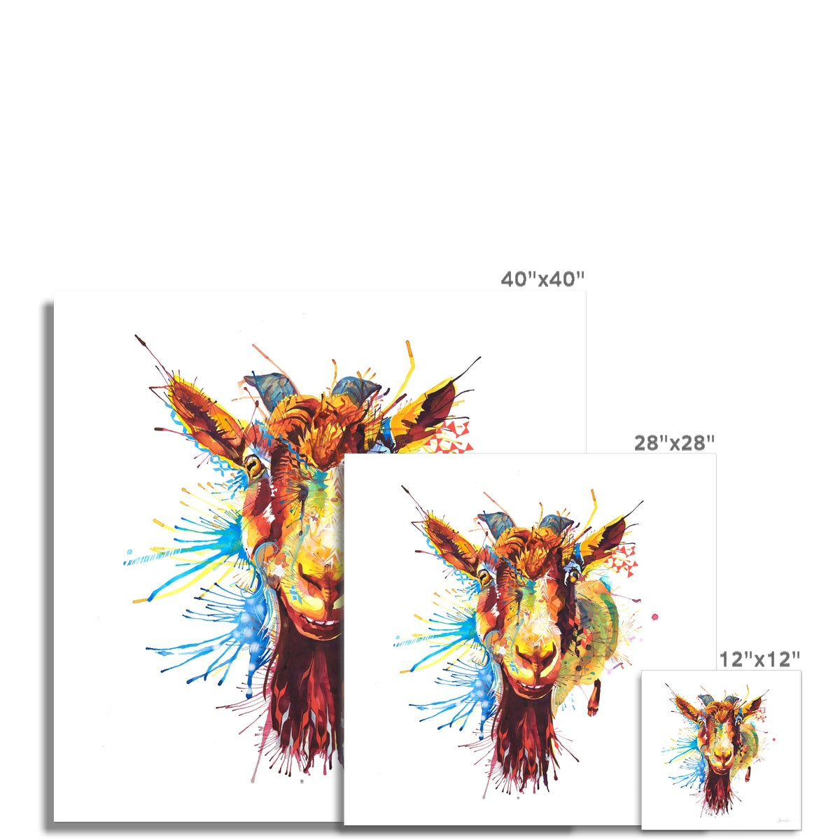 Wall Art | Modern Art | Funny Animal Pictures | Animal Picture | Animal Print | Art Prints Modern