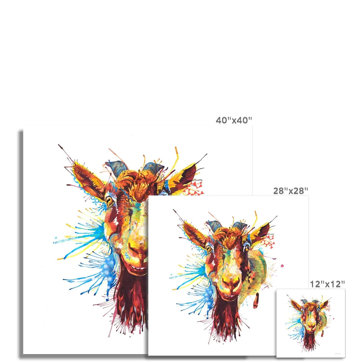 Wall Art | Modern Art | Funny Animal Pictures | Animal Picture | Animal Print | Art Prints Modern