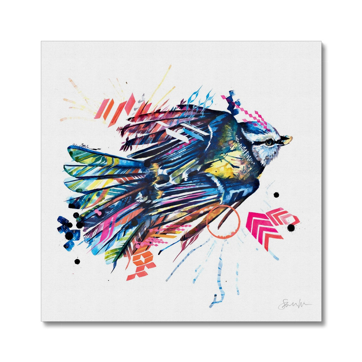 Wall Art | Framed Prints | Sarah Taylor | Modern Art | Framed Wall Art | Colourful Animal Art