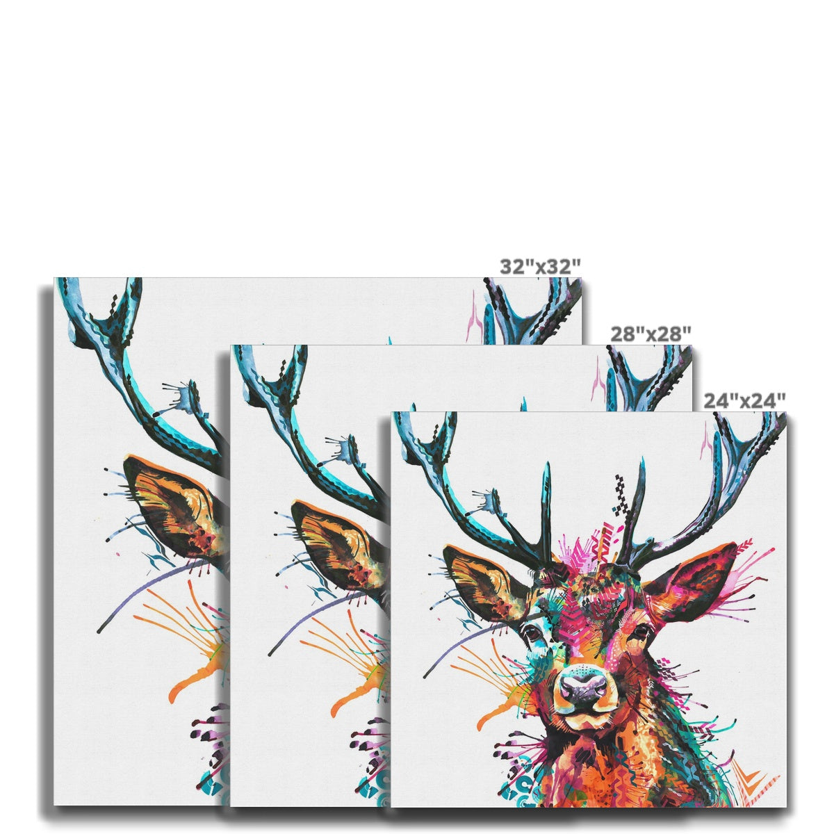 Wall Art | Wildlife Art | Sarah Taylor | Animal Art | Framed Art | Wall Prints | Framed Wall Art