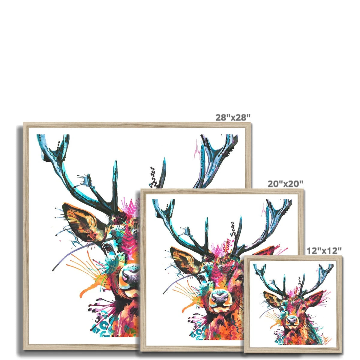Modern Art | Wildlife Art | Sarah Taylor | Abstract Art | Animal Portraits | Animal Art