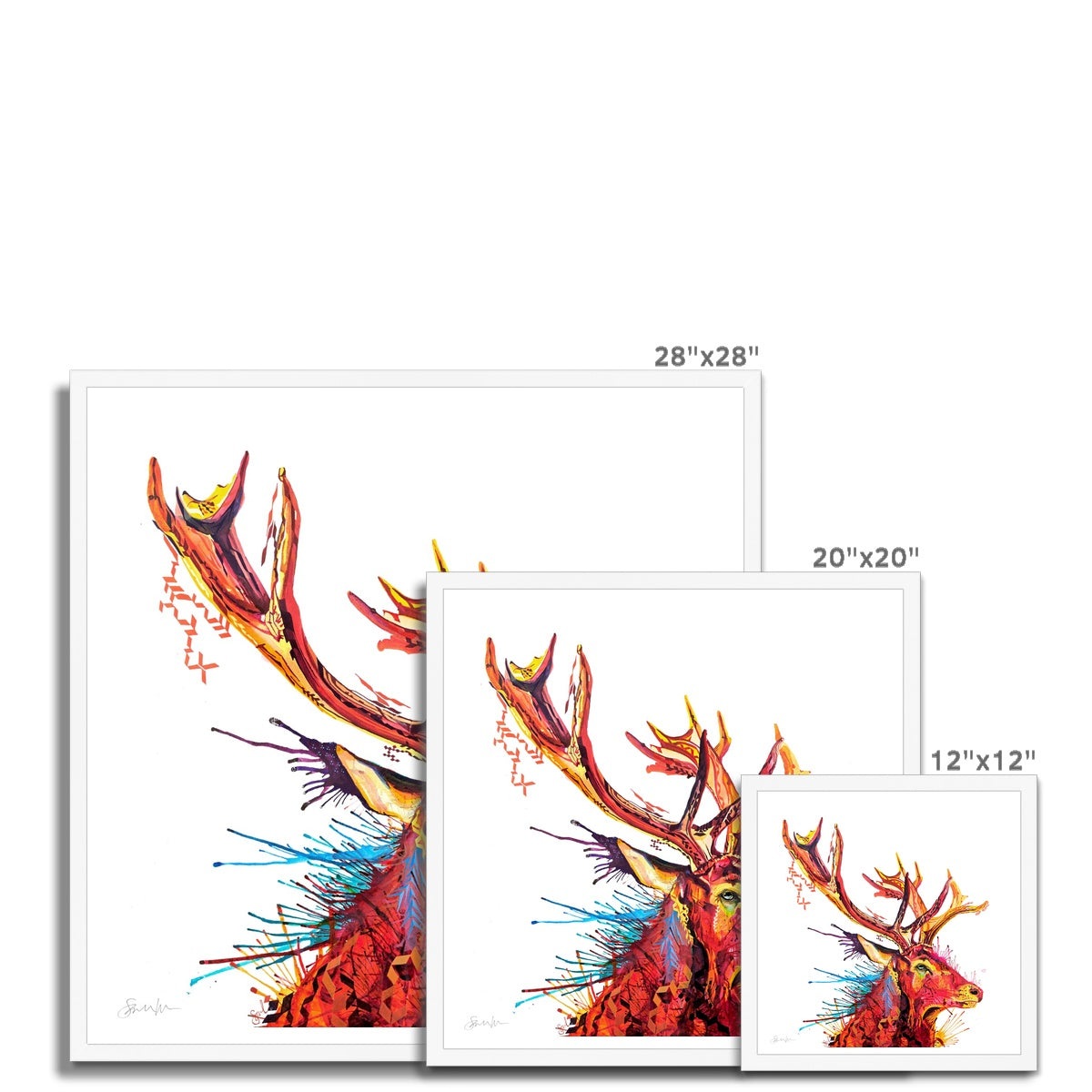 Framed Prints | Wall Art | Modern Art | Sarah Taylor | Animal Picture | Wallart | Abstract Wall Art