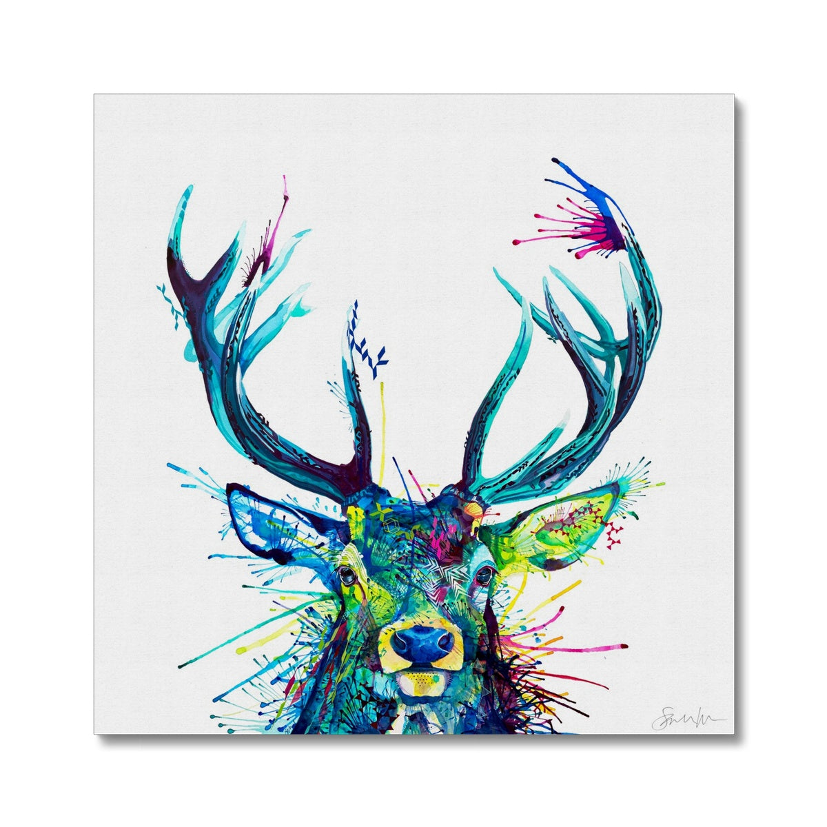 Framed Art | Wildlife Art | Sarah Taylor | Wall Art | Framed Prints | Abstract Art | Colourful Animal Art