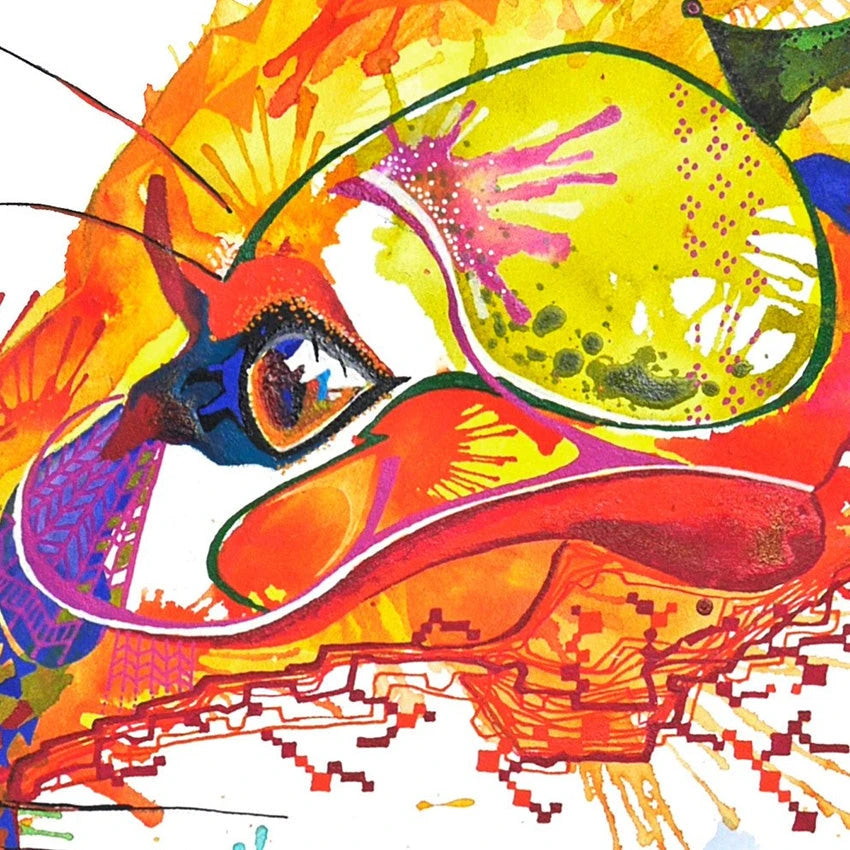 Wall Art | Framed Prints | Colourful Animal Art | Sarah Taylor | Modern Art | Framed Wall Art