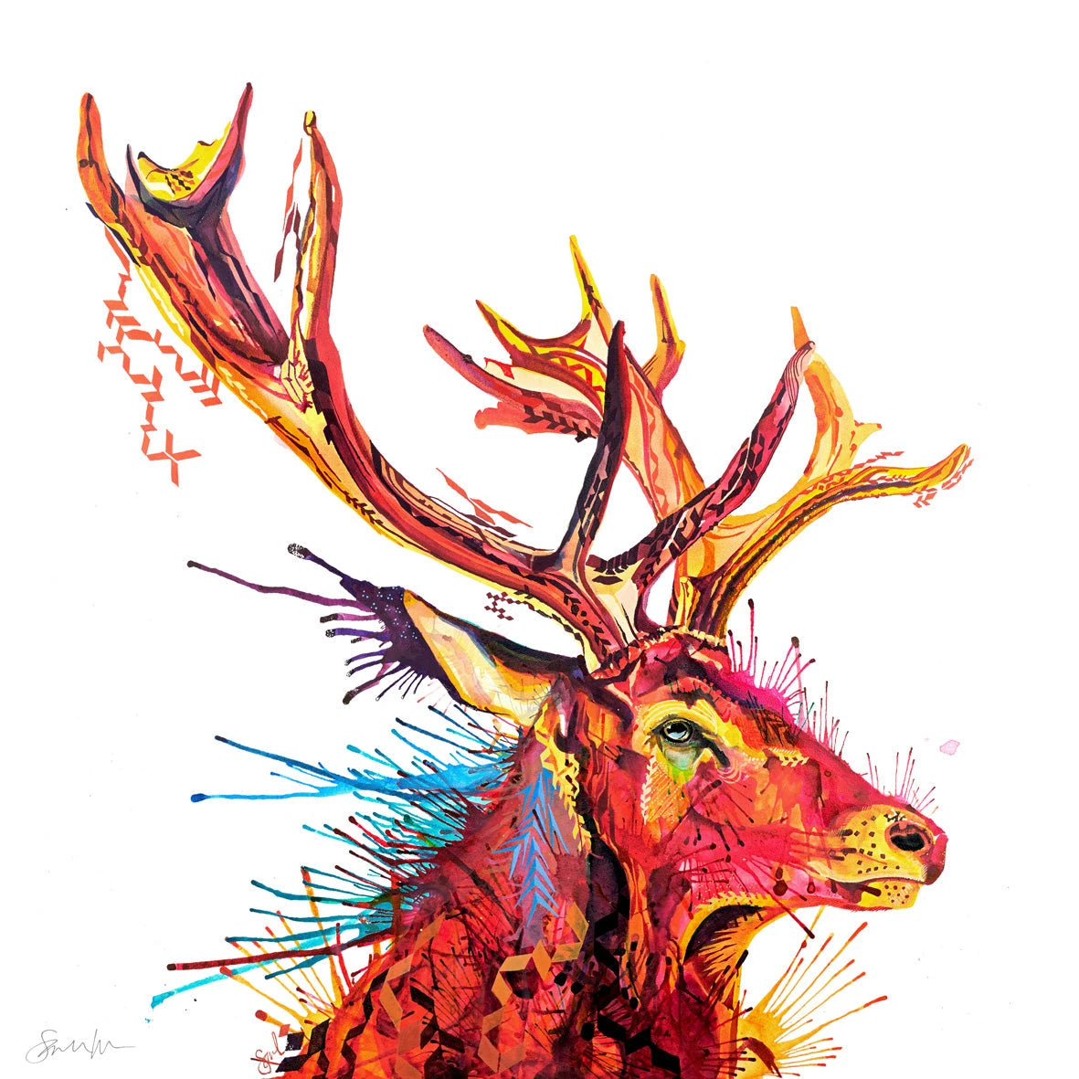 Wildlife Art | Wall Art Of Nature | Wall Art | Wall Art Colourful | Animal Art | Framed Wall Art