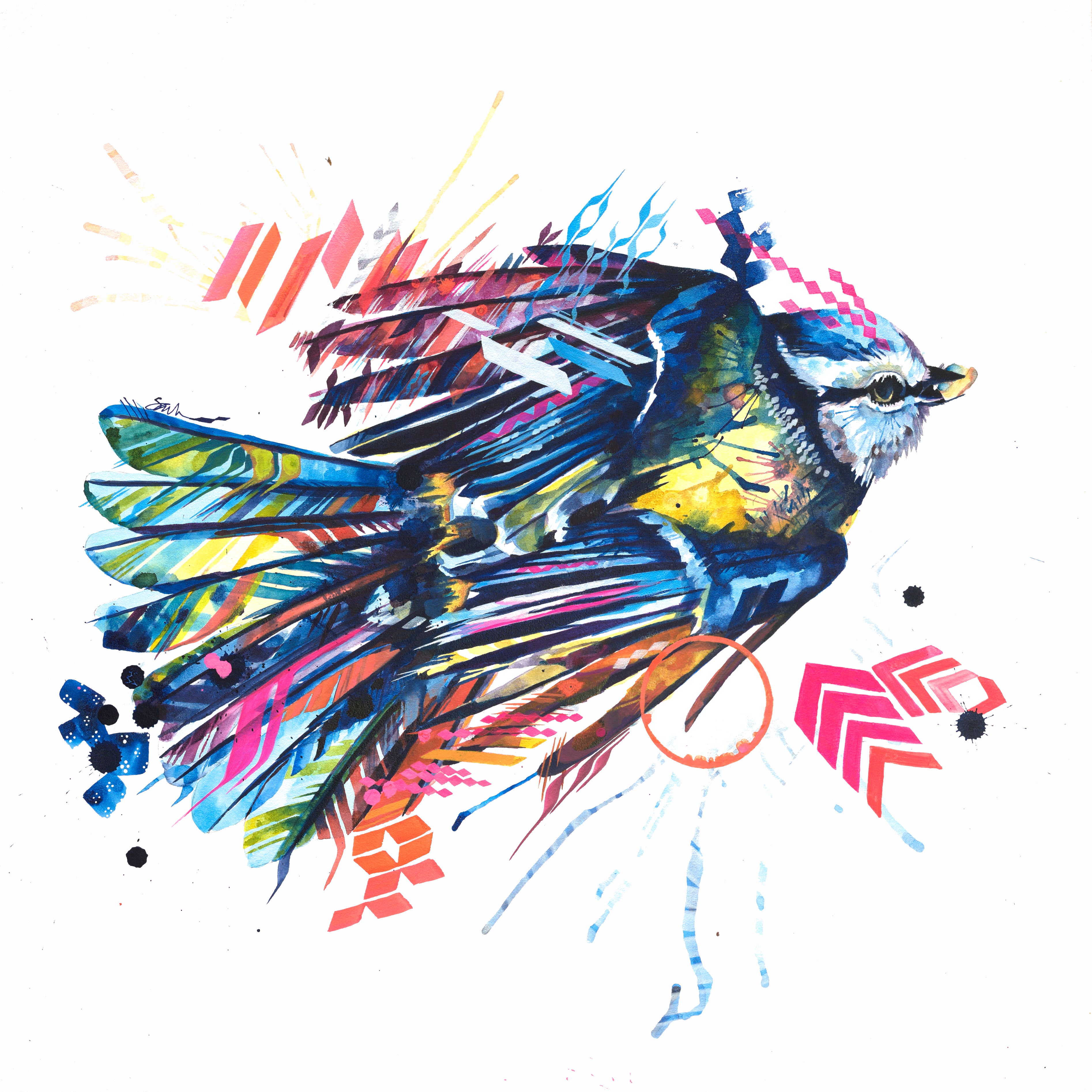 Wallart | Wall Art For Living Room | Wall Prints | Animal Print | Sarah Taylor