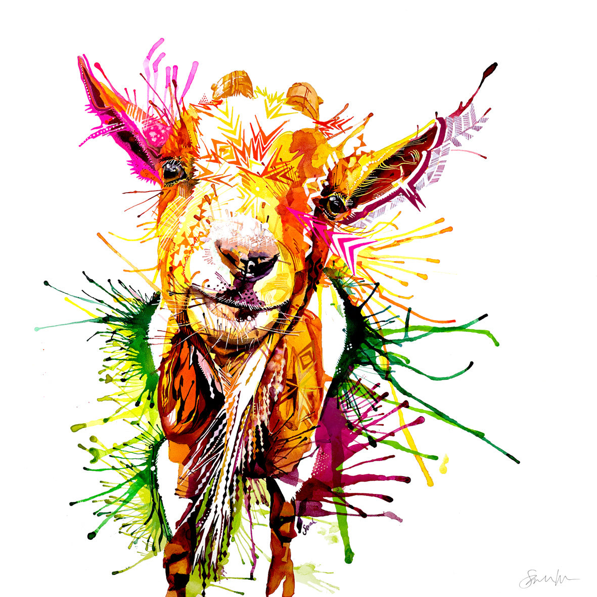 Wall Art | Wildlife Art | Modern Art | Animal Print | Living Room Wall Art | Sarah Taylor | Framed Wall Art