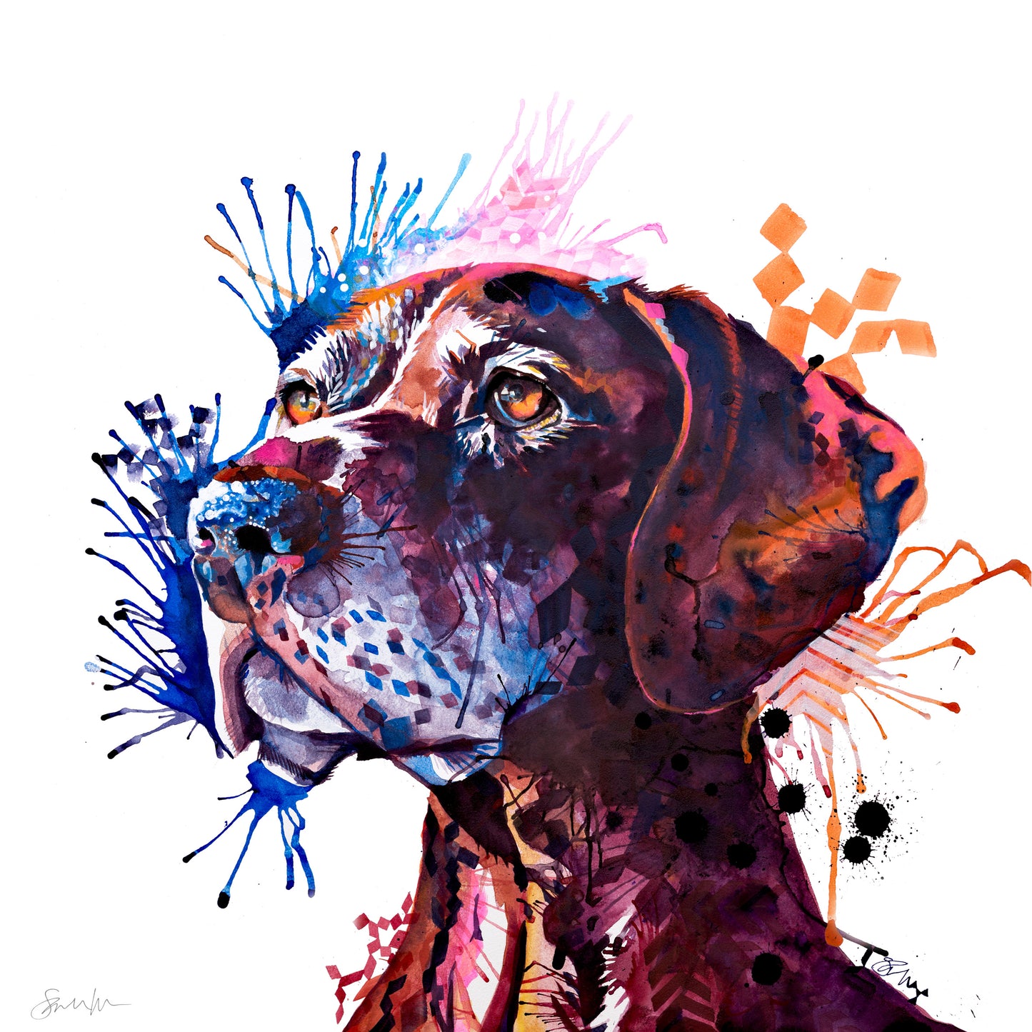 German Pointer Wall Art | Dog Portrait Artists UK | Dog Artwork | Dog Drawings | Pet Portraits | Wall Art | Wall Prints